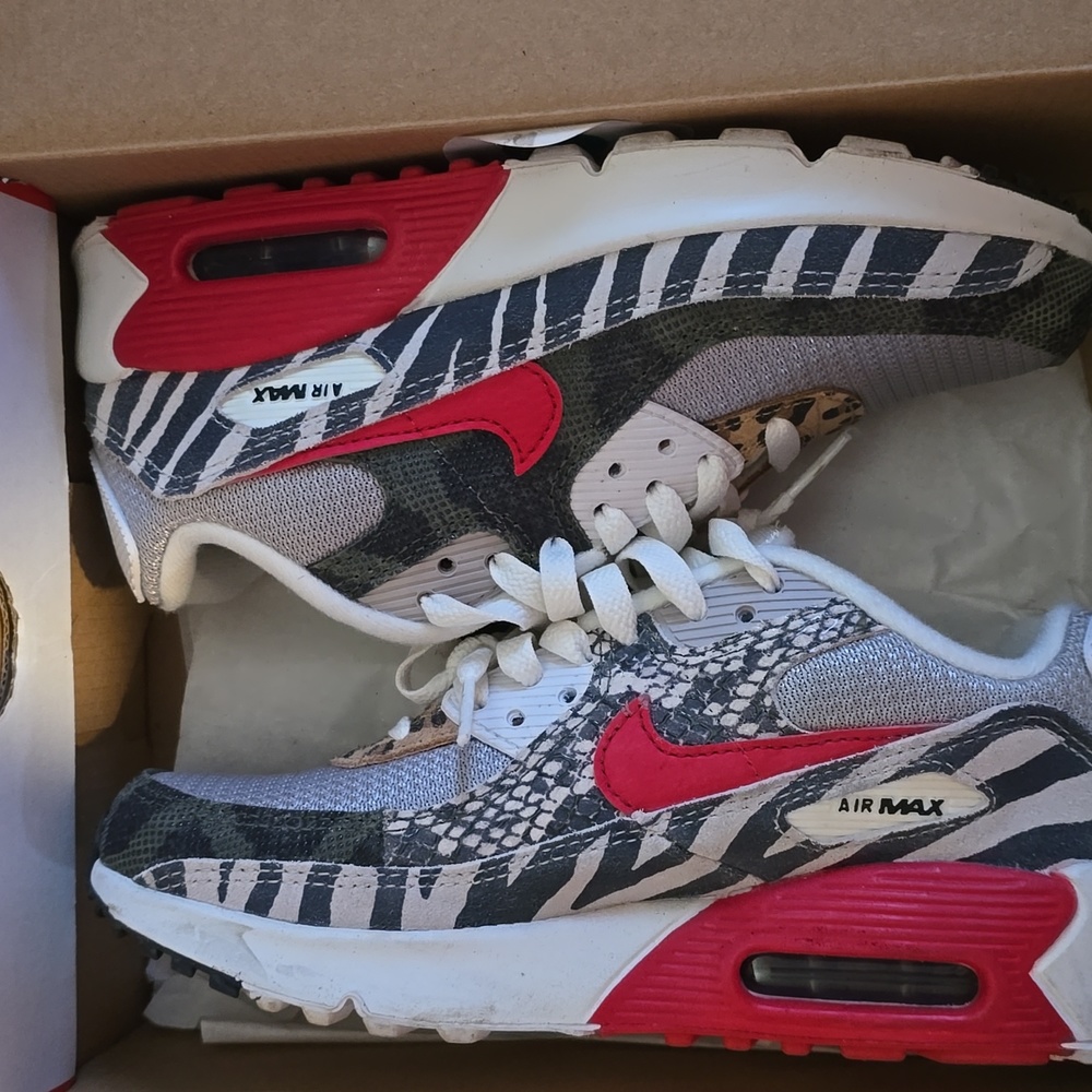 Nike Air Max